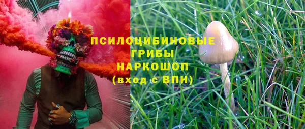 таблы Алзамай