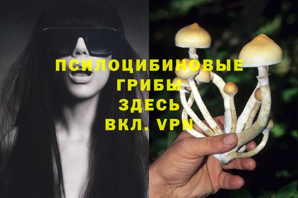 мяу мяу мука Алексин